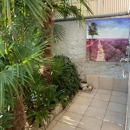 Urban Oasis Apartment