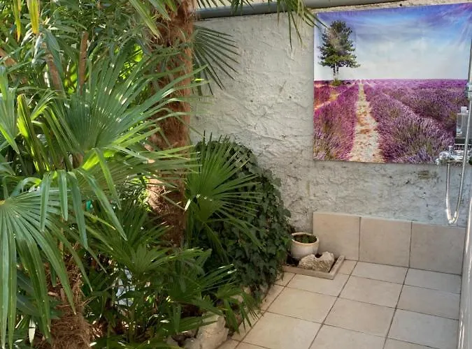 Urban Oasis Apartman