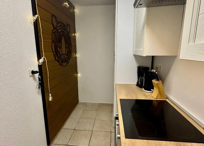 Urban Oasis Apartman *